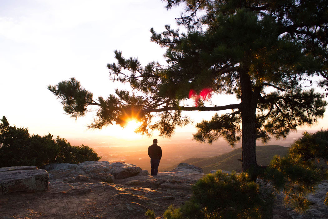 A person standing alone on a hillside in a forest at sunset